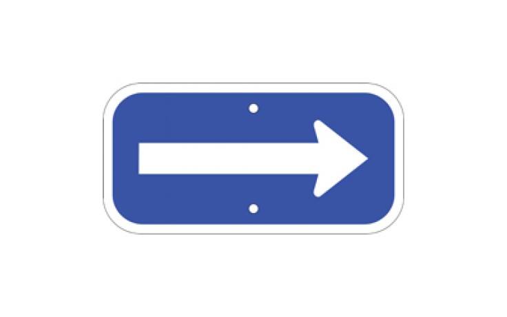Handicap Arrow - Blue 12"x6"