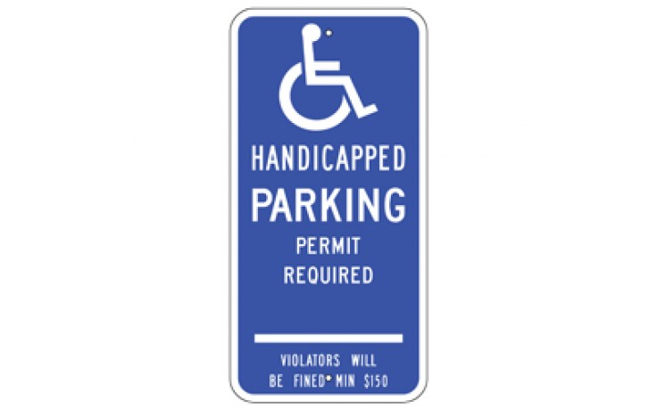 Handicap - Connecticut 1 - 12"x24"