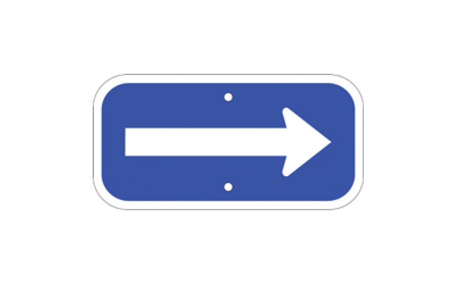 Handicap Arrow - Blue 12"x6"