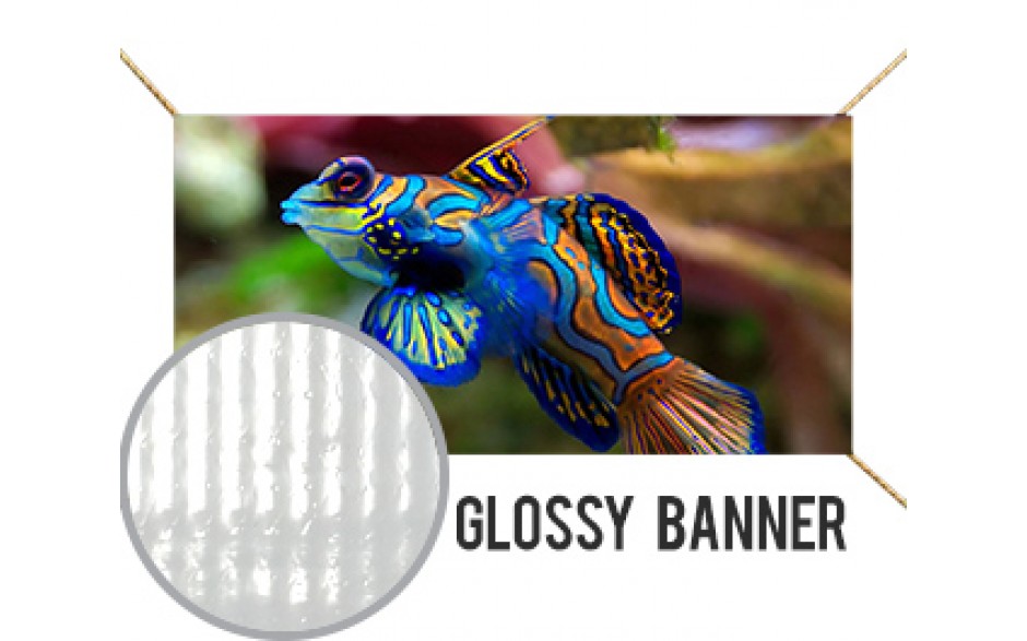 Glossy Banner