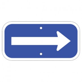 Handicap Arrow - Blue 12"x6"