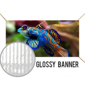 Glossy Banner